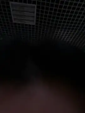 Snapshot of Liza_Will chatting on 02.20.26 Liza Will online show from 02.20.26