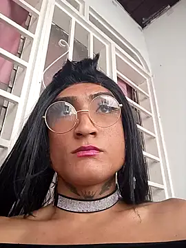 translatina777 online show from 02.11.26