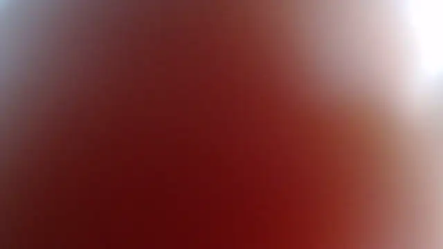 Snapshot of DinaDIRTY chatting on 12.11.24 DinaDIRTY online show from 12.11.24