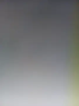 Snapshot of Reeta-rani chatting on 10.31.25 Reeta-rani online show from 10.31.25