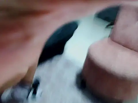 kata-gomez online show from 02.21.26