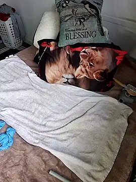 Snapshot of Wilsonn86 chatting on 02.09.26 Wilsonn86 online show from 02.09.26