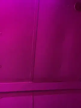 Snapshot of jcwxt chatting on 03.01.26 jcwxt online show from 03.01.26