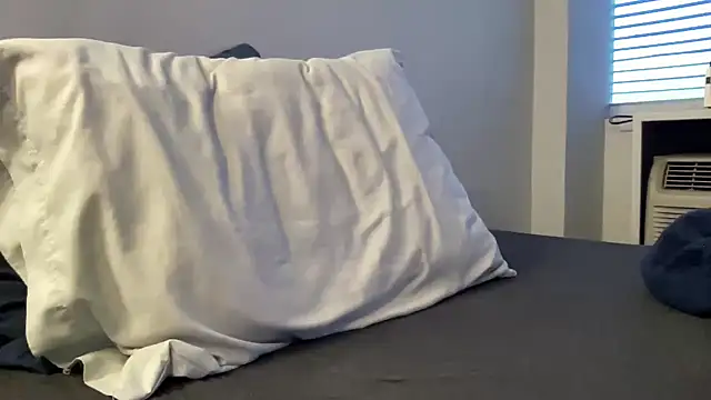 Snapshot of Wdesean4 chatting on 04.29.26 Wdesean4 online show from 04.29.26