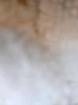 Snapshot of Radsj@xh chatting on 12.17.25 Radsjxh online show from 12.17.25