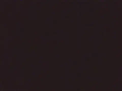 Snapshot of Laurenflex chatting on 10.03.25 Laurenflex online show from 10.03.25