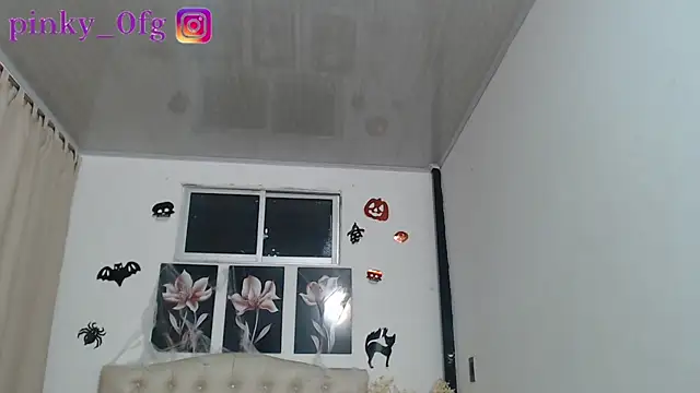 Snapshot of pinky_f00x chatting on 10.11.25 pinky f00x online show from 10.11.25