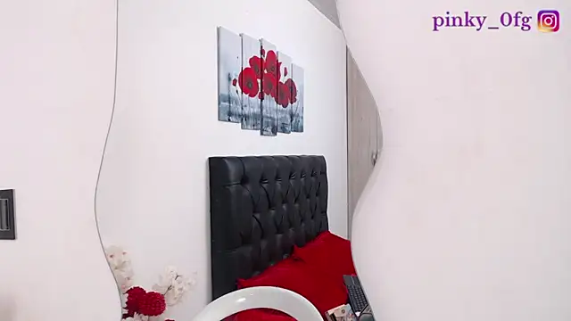 Snapshot of pinky_f00x chatting on 10.20.25 pinky f00x online show from 10.20.25