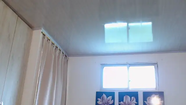 pinky f00x online show from 12.02.25