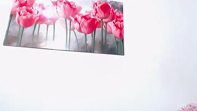 pinky f00x online show from 04.11.26