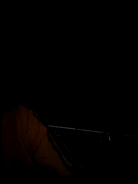 Snapshot of Venda-boi chatting on 10.01.25 Venda-boi online show from 10.01.25