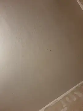 gazb90 online show from 01.14.26