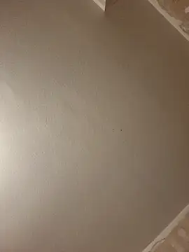 gazb90 online show from 04.09.26