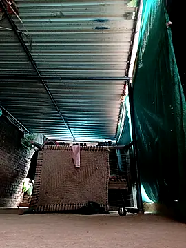 Shiya janu online show from 02.03.26