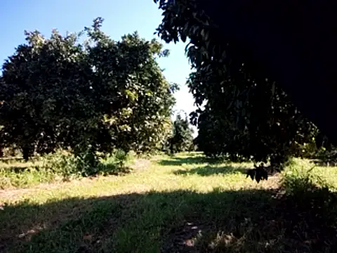 stefanoss321 online show from 03.09.26