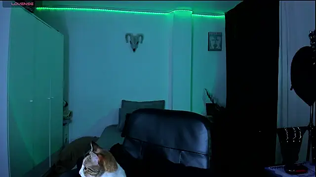 kattusauruss online show from 03.22.26