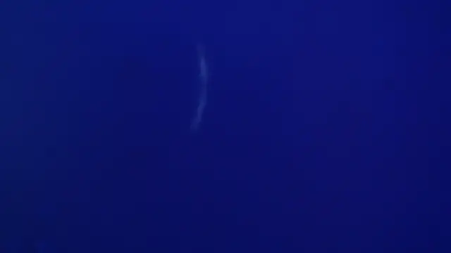 The1BBC online show from 02.12.26