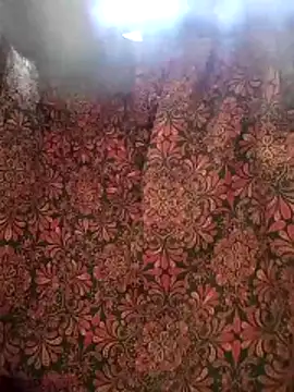 aunty sumy online show from 02.04.26