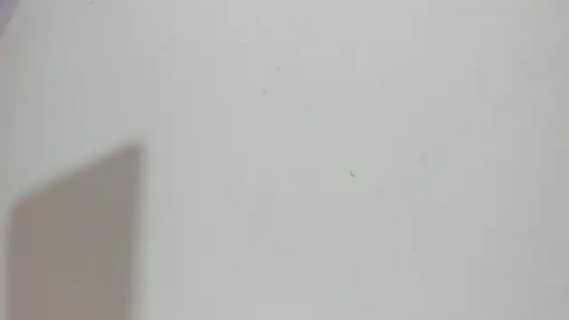 Snapshot of Sophia_Ebony chatting on 05.15.26 Sophia Ebony online show from 05.15.26