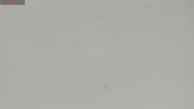 Snapshot of Sophia_Ebony chatting on 07.15.26 Sophia Ebony online show from 07.15.26
