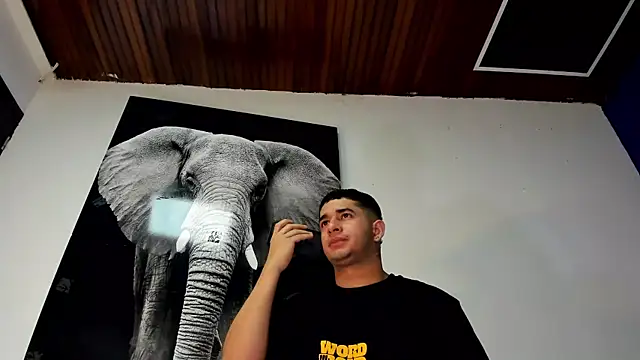 king falconer online show from 11.02.25