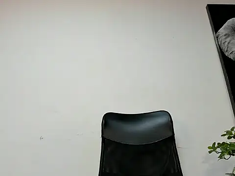 king falconer online show from 11.05.25