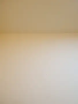 Oriana111 online show from 02.15.26