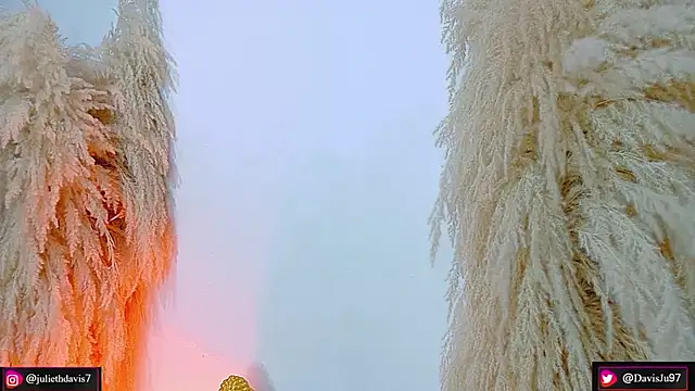 JulietaDavis online show from 04.17.26