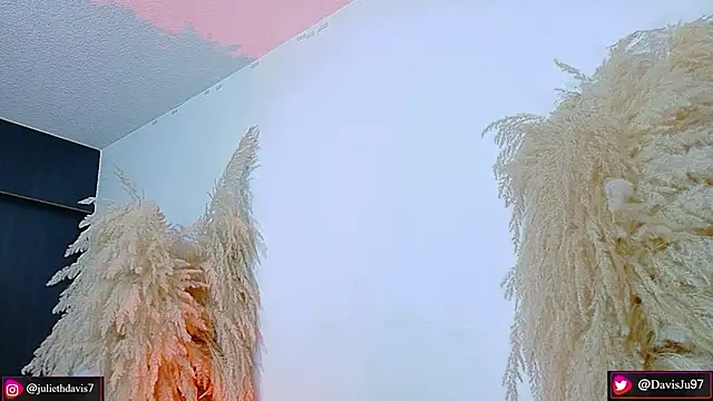 JulietaDavis online show from 04.20.26