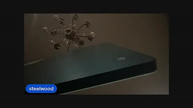 Snapshot of steelwoodVids chatting on 10.20.25 steelwoodVids online show from 10.20.25