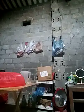 jienrrr online show from 09.16.25