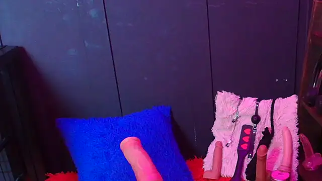 Meghan storm online show from 11.22.25