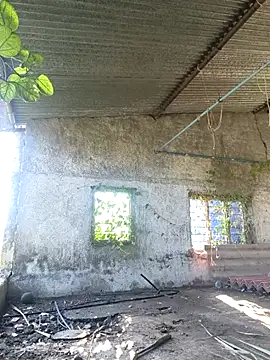 Sunny cute love online show from 10.06.25