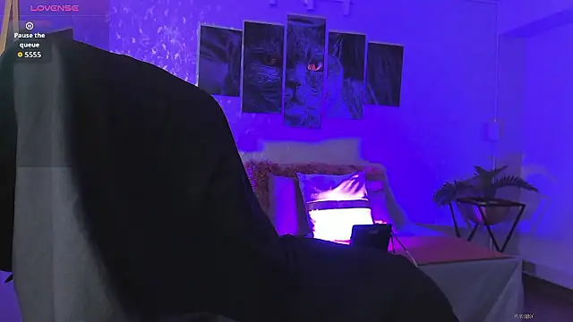 nils saint online show from 01.13.26