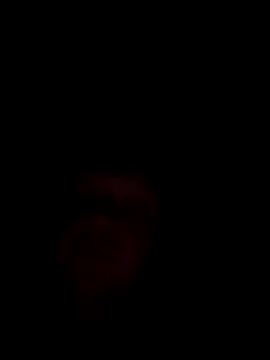 mask-on-me online show from 10.26.25