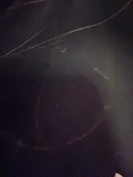 Natalia vidal online show from 11.06.25