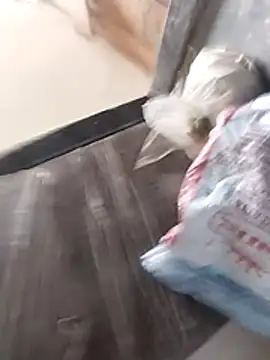 Snapshot of Wet_BunnyFun chatting on 02.25.26 Wet BunnyFun online show from 02.25.26