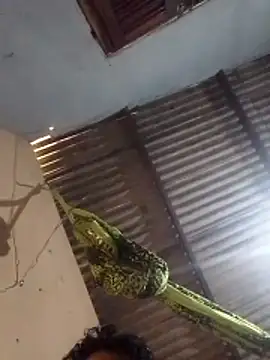 Snapshot of mayevviaqui chatting on 03.11.26 mayevviaqui online show from 03.11.26