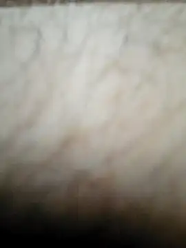 Snapshot of nikads0 chatting on 05.19.26 nikads0 online show from 05.19.26