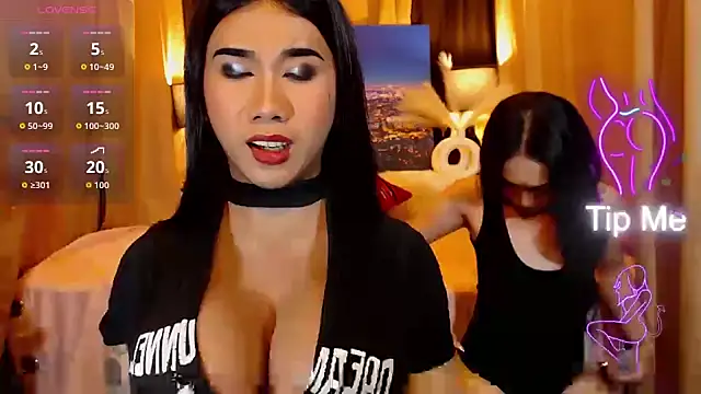 TRANSPORNIDOL online show from 05.22.26