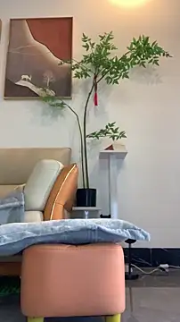 zhizhinaigai online show from 01.19.26