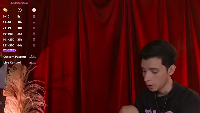 VicenteFerrer online show from 02.22.26