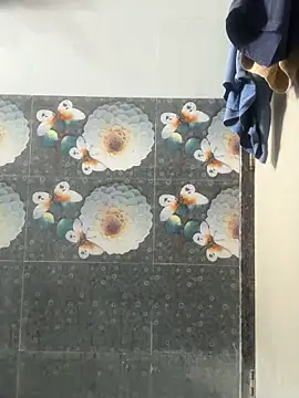 Snapshot of Sid_____123 chatting on 10.23.25 Sid     123 online show from 10.23.25