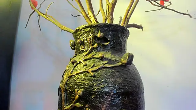 winderling online show from 09.15.25