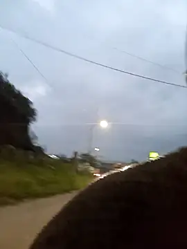 Fernandar2025 online show from 02.18.26