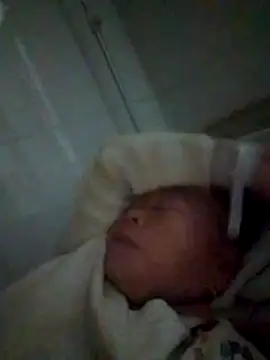 VangLe73 online show from 12.22.25