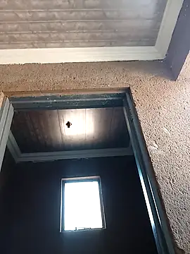 bhutimjongeni online show from 09.09.25