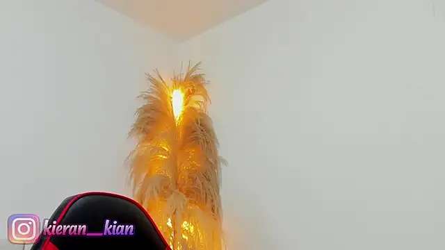 Snapshot of Kieran_kian chatting on 04.19.26 Kieran kian online show from 04.19.26