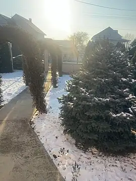 Michel huge online show from 01.18.26