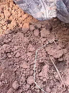 Snapshot of Hot_raaani chatting on 11.07.25 Hot raaani online show from 11.07.25